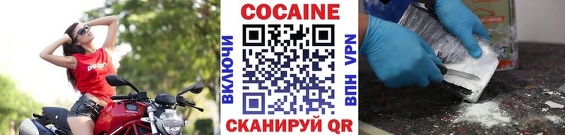 КОКАИН Эквадор  Суворов 