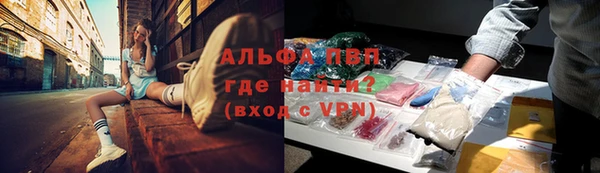 эйфоретик Арсеньев