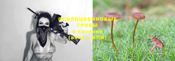 mdpv Аркадак