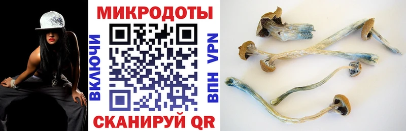 Галлюциногенные грибы прущие грибы  Суворов 
